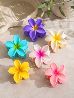 Pack of 6 Hair Catcher